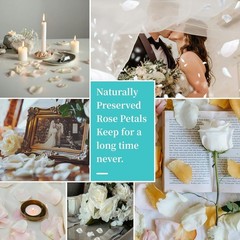 Real Dried , Frozen Preserved Petals for, Wedding Party Decorations, Confett…