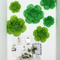 6 pack 7″ 9″ 11″ Mint and Apple Green Tissue Paper Peony Flowers Home Backdrop