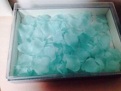 300 pcs Mint Silk Petals/Aqua Fabric Petals/Wedding Petals/ Vases Fillers (USA)