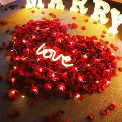 1000PCS Red Artificial Fake Rose Petals Wedding Event Romantic Night Party Decor
