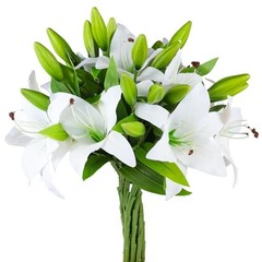 Pcs Artificial Tiger Lily Real Touch Easter Lily Fake Spring Flowers 8 White