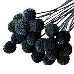20Pcs Natural Dried Flowers Billy Balls Flowers 16″ Dried Flower Bouquet Black