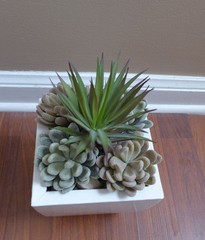 5 Mini Plants Artificial Mexican Snowball Succulent Plants Lifelike Landscape