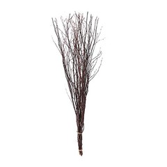 6 Natural Extra Long 46″ Birch Tree Branches Vase Fillers FLOWERS STEMS Wedding