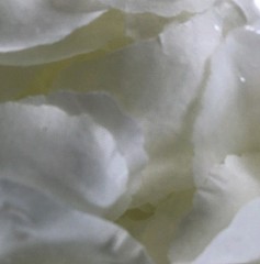 Rose Silk White Flower Petals Wedding Party Table Confetti Decoration 200Pcs