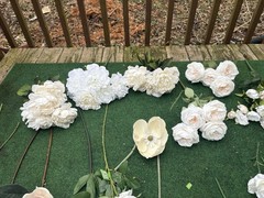Huge Lot Bundle Of Cream Ivory White Roses Peony Magnolia Long Stem Real Touch