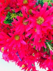 Artificial Plastic Fabric Red Colour Flowers With Green Leaves