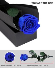 Blue Flowers for Delivery Prime, Preserved Roses SingleRose, 05-blue