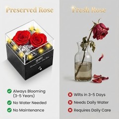 Gnifot Preserved Red Real Rose with I Love You in 100 4.33 inches,