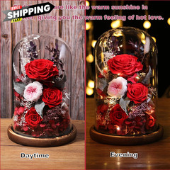 lovenfold Flowers for Delivery Preserved flowers Rose in Glass Red – Winter