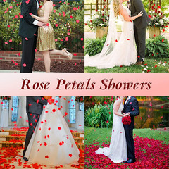 3000 pétalos de rosa de seda, decoraciones de pétalos de rosa roja
