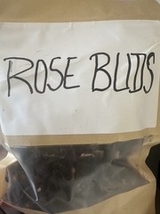 Rose Buds Dry Leaves