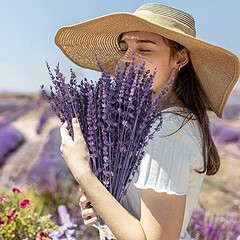 Dried Preserved Lavender Flowers Bundle-Natural Dried Lavender Purple-2.82oz