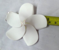Plumeria Flowers Foam Artificial 100 White & Pink Hair Wedding Decor Lei #023