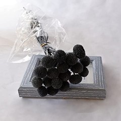 20Pcs Natural Dried Flowers Billy Balls Flowers 16″ Dried Flower Bouquet Black