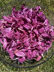 Air Dried Peony Petals Wedding Confetti Dried Flowers 10 Cups