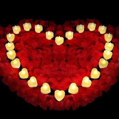 1000 pétalos de rosa artificiales con 24 velas LED, decoraciones para propuestas