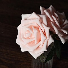 24 BLUSH 5″ FOAM ROSE Flowers Stems Party Wedding Events Decorations Supplies