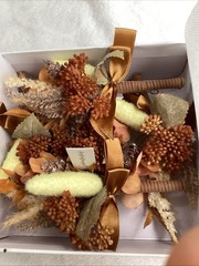 5 Groomsmen Boutonniere Rust Yellow Terracotta Artificial Wedding Flower Damg