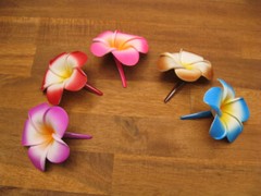 Frangipani Hairclips 7cm flower with matching color clips.