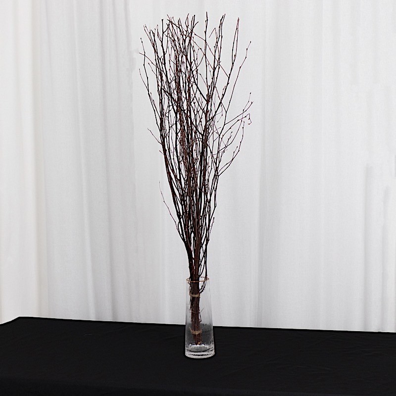 6 Natural Extra Long 46″ Birch Tree Branches Vase Fillers FLOWERS STEMS Wedding