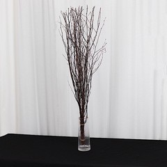 6 Natural Extra Long 46″ Birch Tree Branches Vase Fillers FLOWERS STEMS Wedding