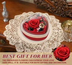Casaido Preserved Real Rose with I Love You Necklace in Heart Box, Red