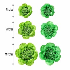 12 pack 7″ 9″ 11″ Mint and Apple Green Tissue Paper Peony Flowers Party Backdrop