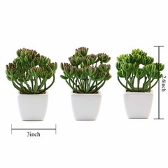 Set of 3 7″ tall Assorted Faux Cute Succulent Plants with Off White Ceramic Pots