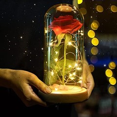 SW Preserved Rose Enchanted Red Silk in Glass Dome with LED