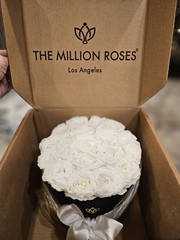 The Million Roses Los Angeles – 18 WHITE ROSES – PLEASE READ DESCRIPTION!