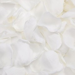 Natural Dried Rose Petals Romantic Weddings Decor Events Crafts Celebrations New