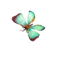-Decorative Butterfly Clips, 3Drtificial Silk Butterflies, Multicolor, Small A