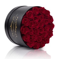 NATROSES Gifts for Her 27 Piece Forever Preserved Roses in a 27 Roses, Red