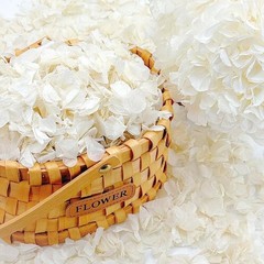 Natural Hydrangea Petals Wedding Decor Romantic Parties Reusable Eco-Friendly US