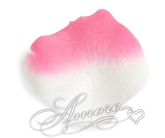 1000 Wedding Silk Rose Petals Flamingo (White and Fuchsia), Petals & Garlands, R