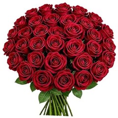 50PCS 20‘’ Red Artificial Roses Flowers with Long 50pcs Red Artificial Flowers