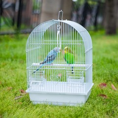 Capuca Small Bird Travel Cage – Lightweight Starter Kit for Parakeets, Lovebirds
