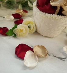 Burgundy Flower Girl Petals Beige Boho Wedding Ceremony Decor Proposal We Do