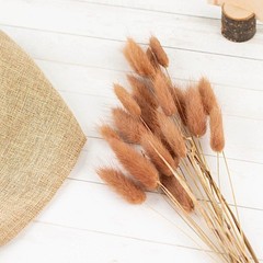 BROWN 50 Stems 15″ Rabbit Tail Dried Natural Pampas Grass SPRAYS Party Events