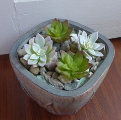 Set of 4 Artificial Succulent Plants Lotus Flower (Two Colors)