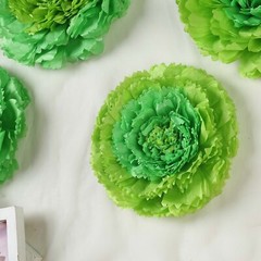 12 12″ 16″ 20″ Mint Green and Tea Green Tissue Paper Carnation Flowers Backdrop