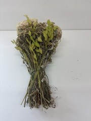 Hand Tied Dried Flower Bouquet