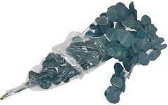 Eucalyptus Populus Dried & Fresh Wedding Home Décor Arrangement Party Baby Blue