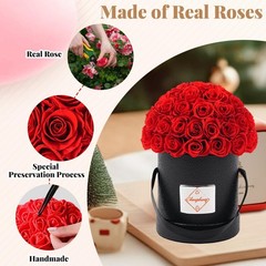 Changshunqi Flowers Roses Forever Gifts for Women – 49 Small, rose-bengal