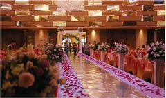 1000 PCS FLOWER ROSE PETALS WEDDING PARTY TABLE DECORATION FLORAL CONFETTI DECOR