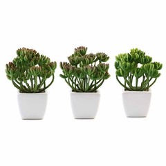 3 Green 7″ Off White Ceramic Pots Assorted Cute Faux Succulent Plants Office