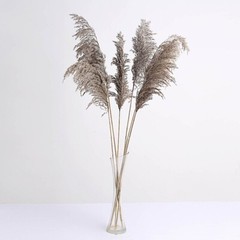 6 NATURAL 32″ Pampas Grass SPRAYS Dried Plant STEMS Party Events Decorations