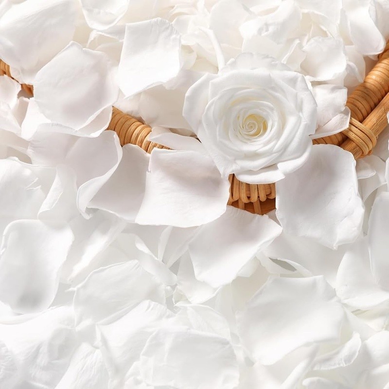 Dried Rose Petals Wedding Decor Romantic Nights Crafts Engagement Celebrations