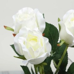 CREAM 24 Artificial 31″ Long Stem Silk ROSE FLOWERS Party Events Decorations